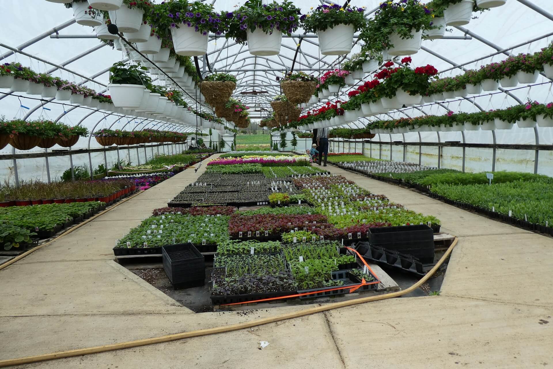 greenhouse testimonial header background
